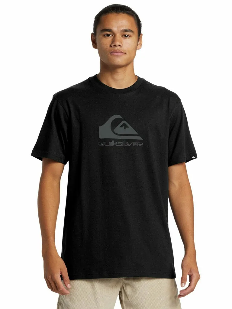 Quiksilver Men's Corp Logo T-Shirt - Grey XXXL